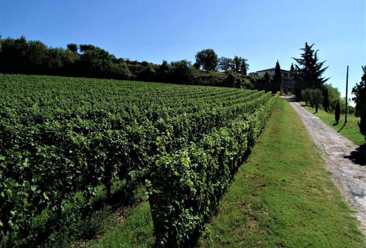 Agriturismo La Guarda Picedo Exterior foto